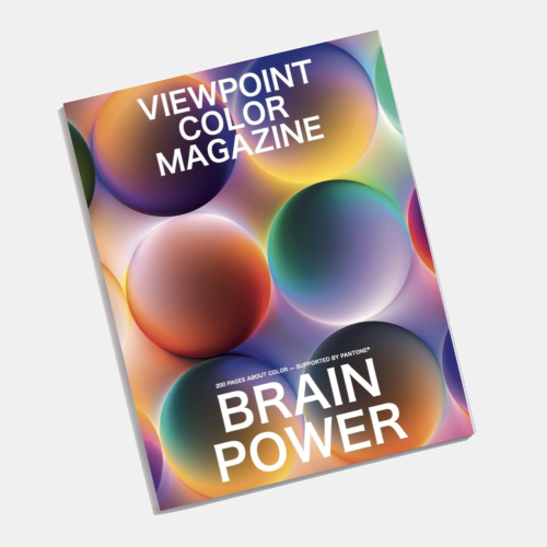 VIEWPOINT COLOUR Issue 16 - BRAINPOWER